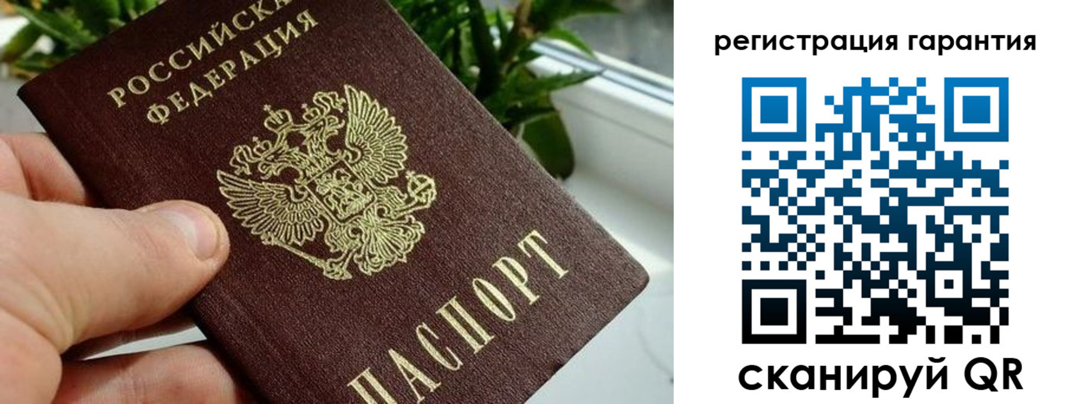 временная регистрация надежно в Тверской области